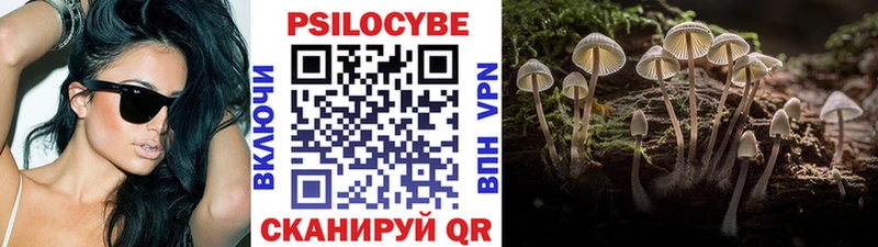 shop какой сайт  Цимлянск  Псилоцибиновые грибы прущие грибы 